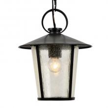 Crystorama AND-9203-SD-MK - Andover Outdoor 1 Light Matte Black Chandelier