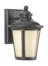 Generation Lighting 88240D-780 - Cape May traditional 1-light outdoor exterior small Dark Sky compliant wall lantern sconce in burled